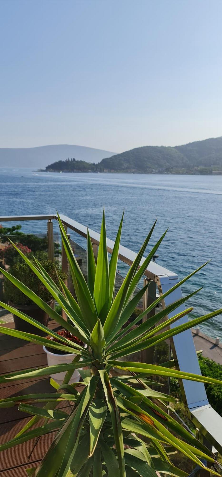 Apartments Maxhit Tivat Exterior foto